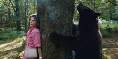 « Crazy Bear » : sur les traces d’un ours cocaïnomane