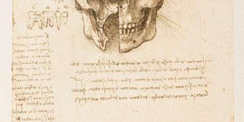 Exposition « Léonard de Vinci et l’anatomie » : la mécanique de la vie au château du Clos-Lucé