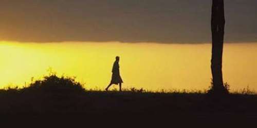 « Le Noir qui marche à pied », une enquête dramatique et drolatique en Afrique du Sud