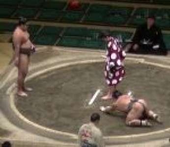 Le sumo Musashikuni Mamu met KO son adversaire en une seconde