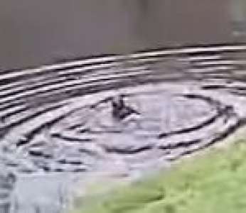 Un policier sauve un jeune autiste de 4 ans en train de se noyer dans un étang (États-Unis)