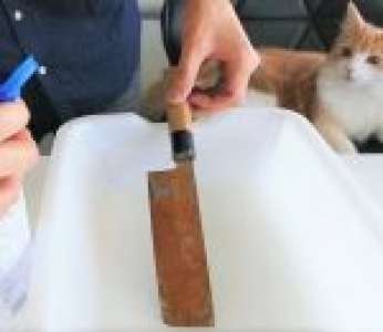 Un homme restaure un couteau traditionnel japonais rouillé