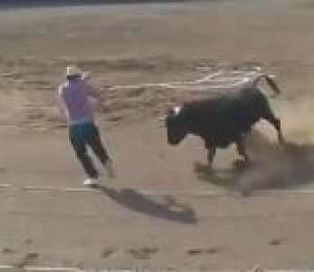 Un militant anti-corrida s'introduit dans l'arène et se fait faucher par un taureau