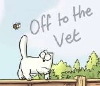« Aller chez le vétérinaire », le chat de Simon se fait piquer par une guêpe