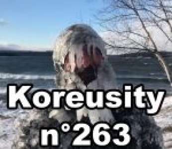 Bon weekend avec Koreusity n°263 un zap de 73 vidéos insolites