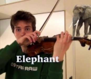 Un homme imite des cris d'animaux avec son violon