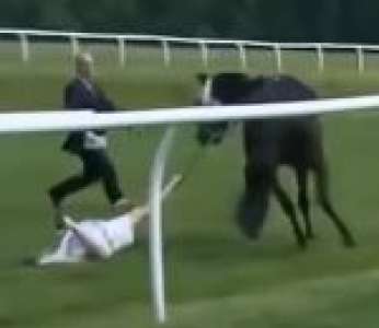 Une journaliste sportive attrape un cheval qui court sans jockey dans un hippodrome (Pays de Galles)