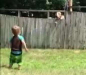 Un enfant joue avec le chien du voisin de l'autre côté d'une palissade