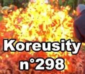 Bon weekend avec Koreusity n°298 un zap de 93 vidéos insolites