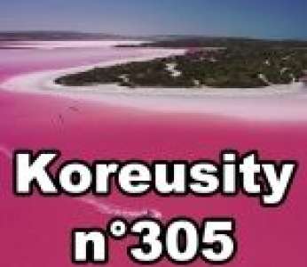 Bon weekend avec Koreusity n°305 un zap de 113 vidéos insolites