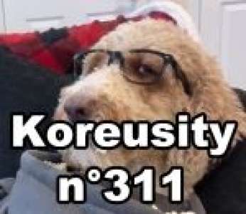 Bon weekend avec Koreusity n°311 un zap de 89 vidéos insolites
