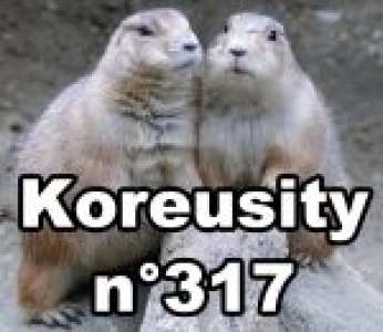 Bon weekend avec Koreusity n°317 un zap de 100 vidéos insolites