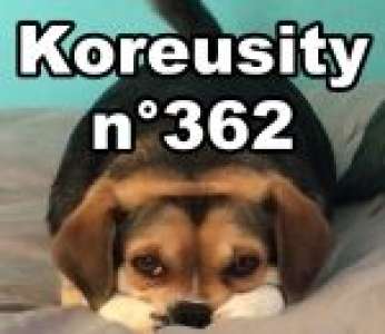 Bon weekend avec Koreusity n°362 un zap de 110 vidéos insolites