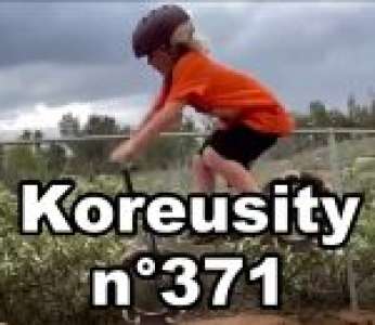 Bon confinement avec Koreusity n°371 un zap de 76 vidéos insolites