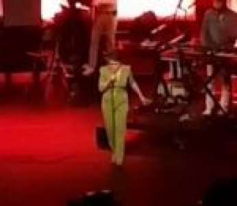 La chanteuse Catherine Ringer s'écroule sur scène pendant un concert (Belgique)