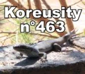 Bon weekend avec Koreusity n°463 un zap de 59 vidéos insolites