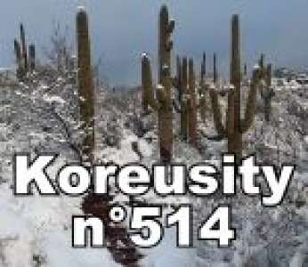 Bon weekend avec Koreusity n°514 un zap de 36 vidéos insolites