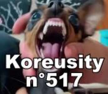 Bon weekend avec Koreusity n°517 un zap de 32 vidéos insolites