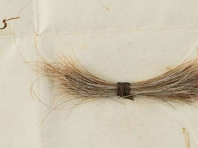 Une mèche de cheveux d’Abraham Lincoln pourrait se vendre 75 000$ aux enchères