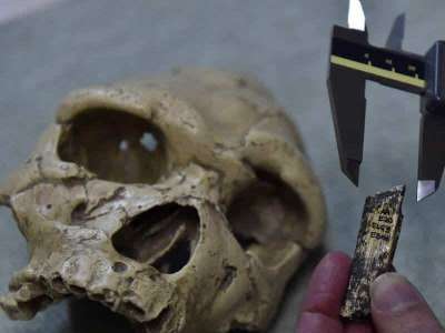 Grotte préhistorique en France: un bout d'ossements vieux de 450 000 ans identifié