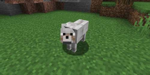 Minecraft : comment apprivoiser et faire se reproduire les loups ?