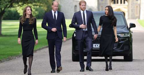 Prince William, Prince Harry, Princesse Kate, Meghan Unite