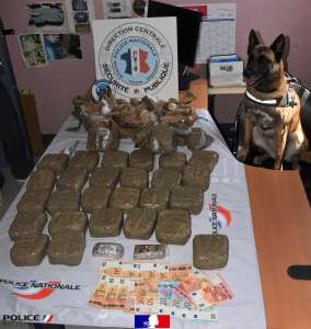 Brest : la pause pipi d'un chien de la police nationale aboutit à une découverte stupéfiante