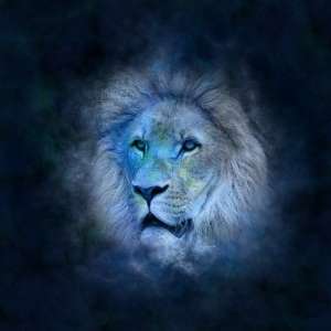 Astrologie 2024 : ce qui attend le signe du Lion en février sur le plan familial