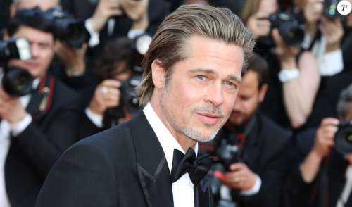 Brad Pitt furieux contre Angelina Jolie : vente illégale, 