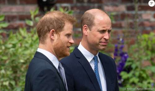 Harry et William en deuil et réunis avant le couronnement ? Ce triste évènement qui pourraient les rapprocher...