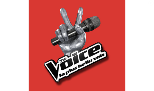 The Voice saison 13 : un coach superstar revient dans l'émission, 