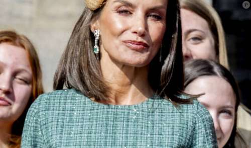 PHOTOS Letizia d'Espagne : Look ultra chic pour la reine en visite aux Pay-Bas, elle a opté pour un accessoire très original