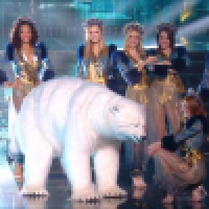 Miss France 2020 : Pourquoi y avait-il un ours blanc pendant le show ?