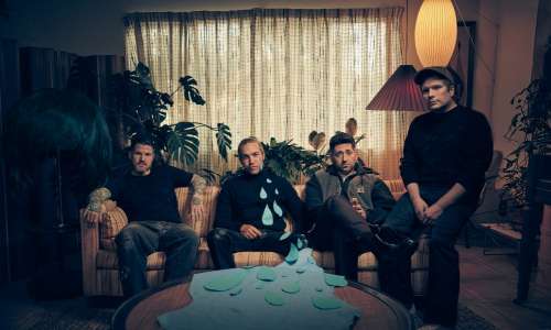 Fall Out Boy Play Triumphant Hometown Chicago Show: Revue de concert