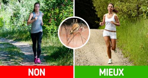 Voici pourquoi les moustiques bourdonnent dans nos oreilles (et 10 autres informations qui prouvent qu’ils ne sont pas les seuls insectes dérangeants)