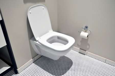 Les employés de cette entreprise sont obligés d’utiliser des toilettes inconfortables, mais la raison est bien pratique