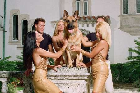 L’improbable histoire d’un fake magistral : Gunther VI, le chien le plus riche du monde qui a acheté la maison de Madonna