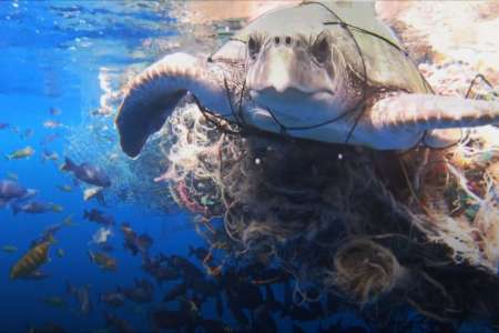 Ces plongeurs sont des héros: ils sauvent une tortue prise au piège dans des déchets
