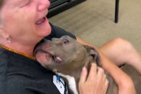 Moment émouvant: une Américaine retrouve son chien huit ans après sa disparition