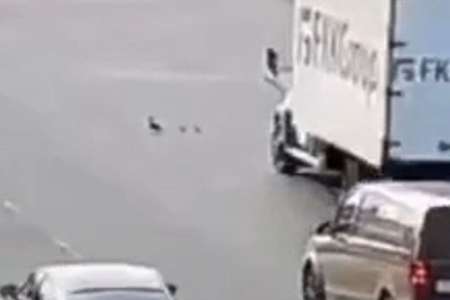 La danse des canards tourne mal sur l’autoroute : collisions en chaîne (VIDEO)