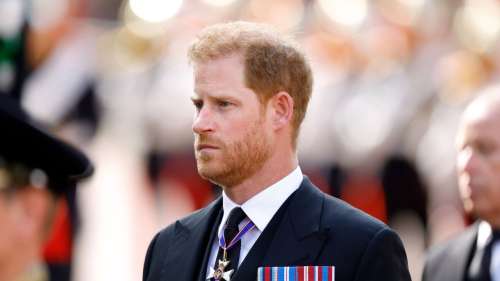 Prince Harry and Prince Andrew Excluded From Saluting Queen Elizabeth II's Coffin