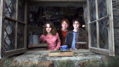 Cinéma : il y a 19 ans, Harry Potter prenait vie pour la première fois à l'écran