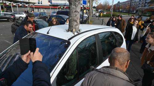 Un arbre qui pousse dans une voiture : l'œuvre d'art de la compagnie Royal de Luxe incendiée, trois suspects en fuite
