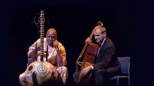 La kora du musicien malien Ballaké Sissoko très endommagée au retour d'un vol New York-Paris : les Américains nient toute responsabilité