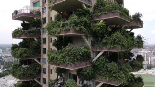 VIDEO. En Chine, des immeubles végétalisés hors de contrôle