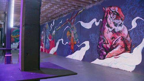 Zoo Art Show, un festival de street art en format XXL dans les quartiers chics de Lyon