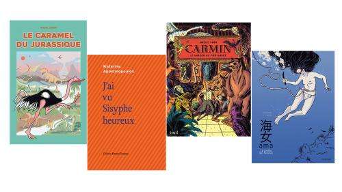 Fictions ados et junior, BD, Livres illustrés : découvrez les quatre Pépites 2020 du Salon du livre et de la presse jeunesse – France Télévisions