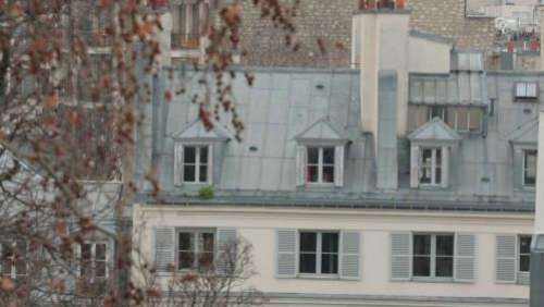 Patrimoine : rencontre avec les artisans qui entretiennent les toits de Paris