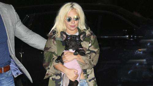 Lady Gaga offre 500 000 dollars pour le retour de ses deux chiens volés