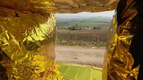 Au festival Vign'Art, 14 œuvres de land art exposées au cœur du vignoble de Champagne